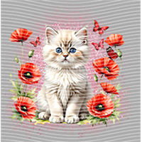 Animal Integration-DW 247